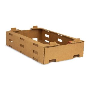 caja-alimentos-1