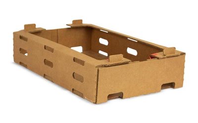 Cajas para alimentos