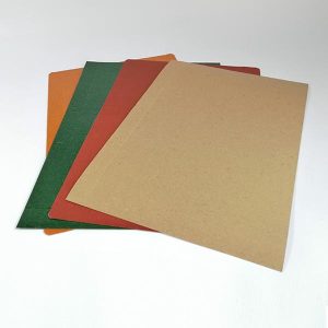 carpeta-tapa-legajadora-2